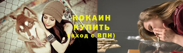 дживик Аркадак