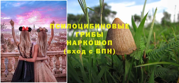 прущая мука Арсеньев